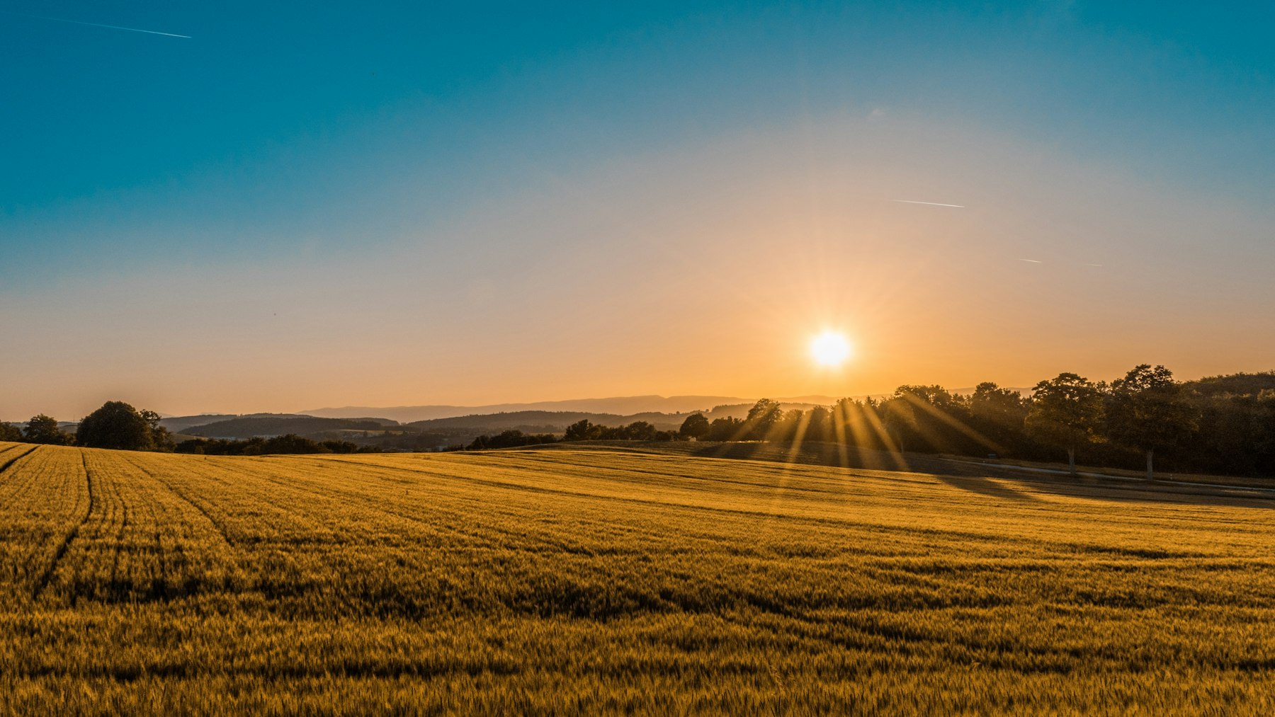 A wide regional Western Australian landscape, evoking the country towns served by <em>Confidential client</em>